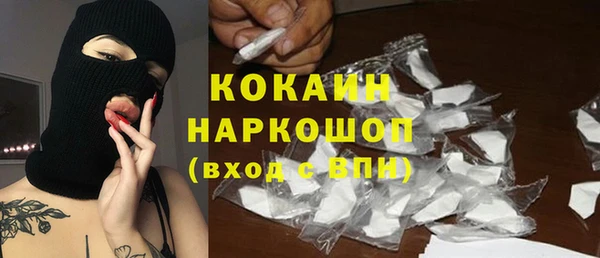 шишки Арсеньев