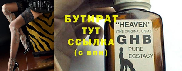 шишки Арсеньев