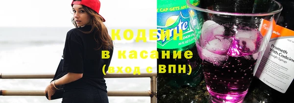 крисы Армянск