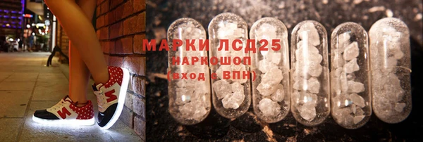 шишки Арсеньев