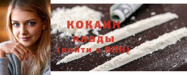крисы Армянск